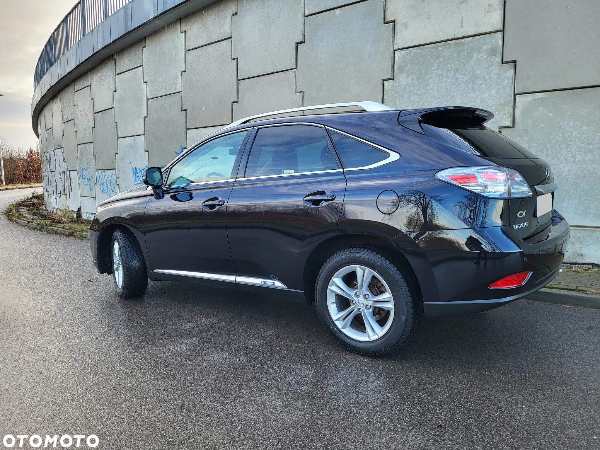 Lexus RX - 6