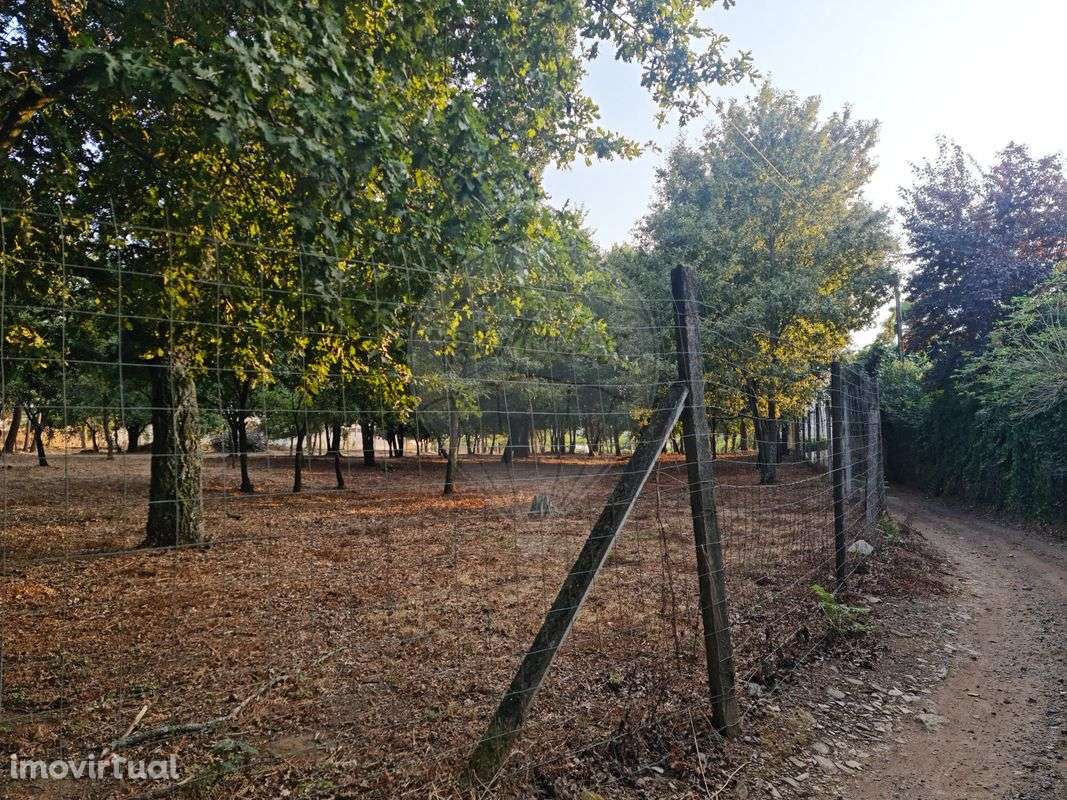 Terreno  para venda - Grande imagem: 4/4