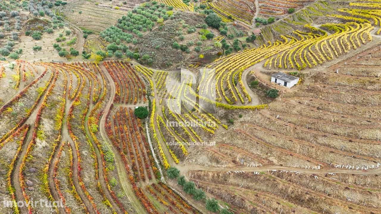 Terreno em Murça - Grande imagem: 2/40