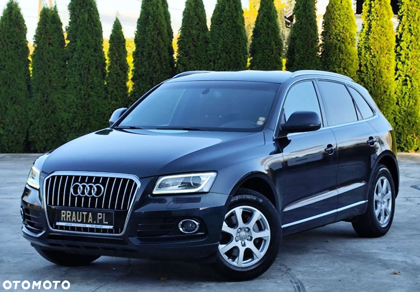 Audi Q5 - 13