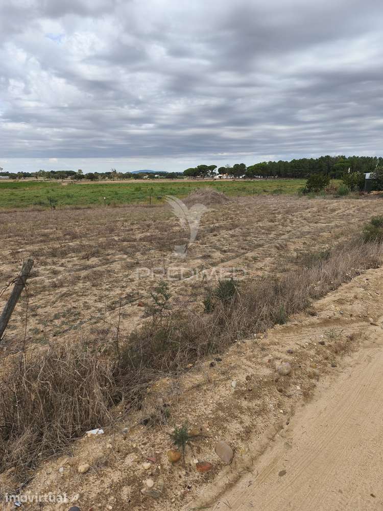 Terreno urbano com 1.325 m² - Grande imagem: 3/4
