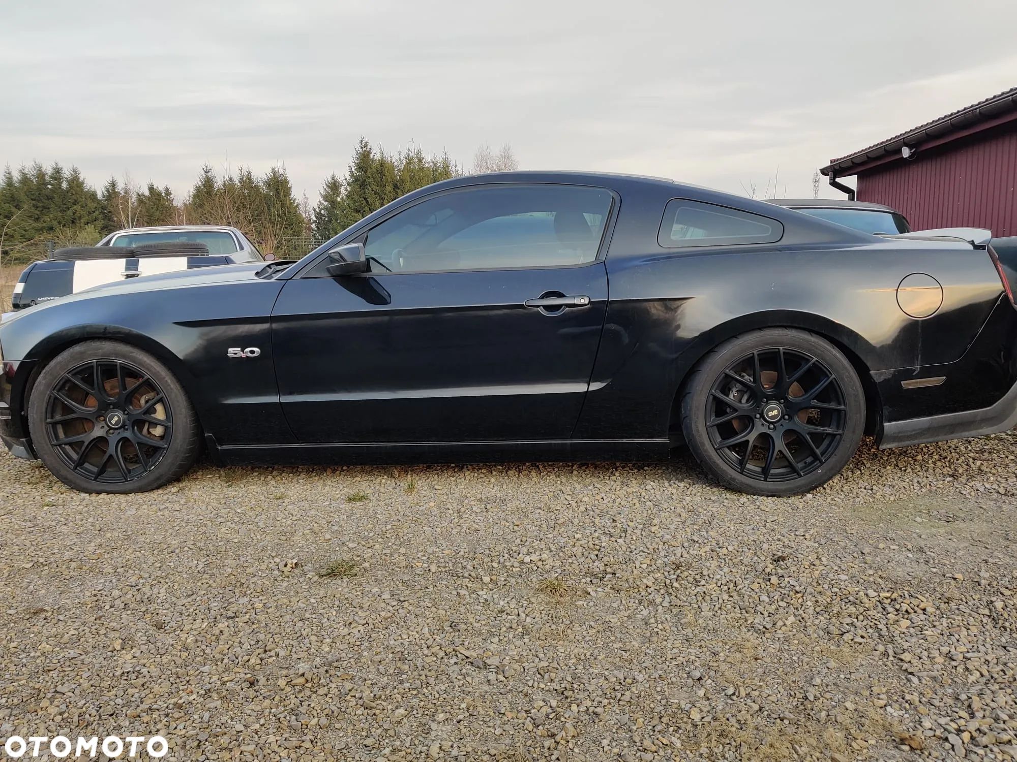Ford Mustang 5.0 V8 GT Premium - 1