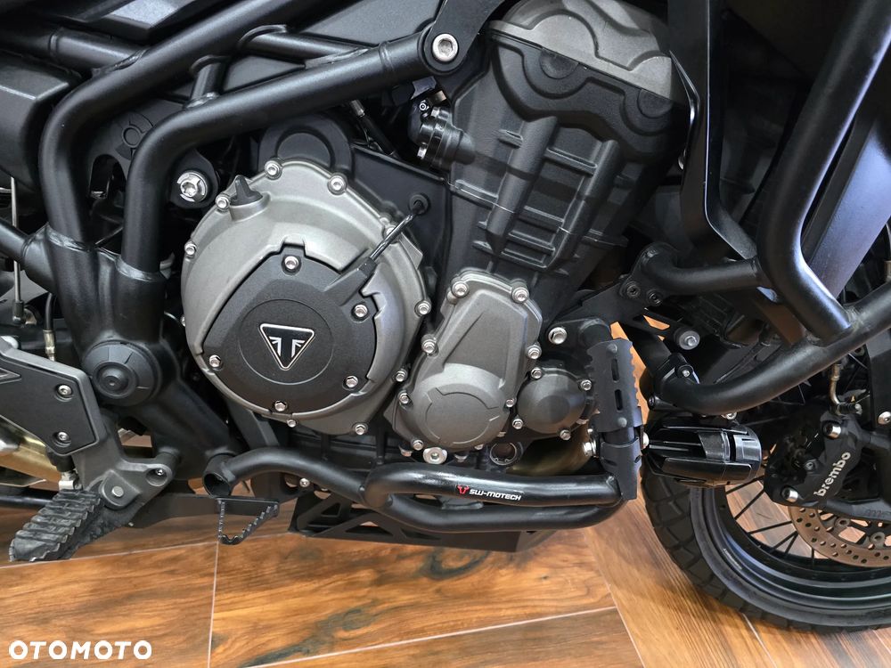 Triumph Tiger - 14