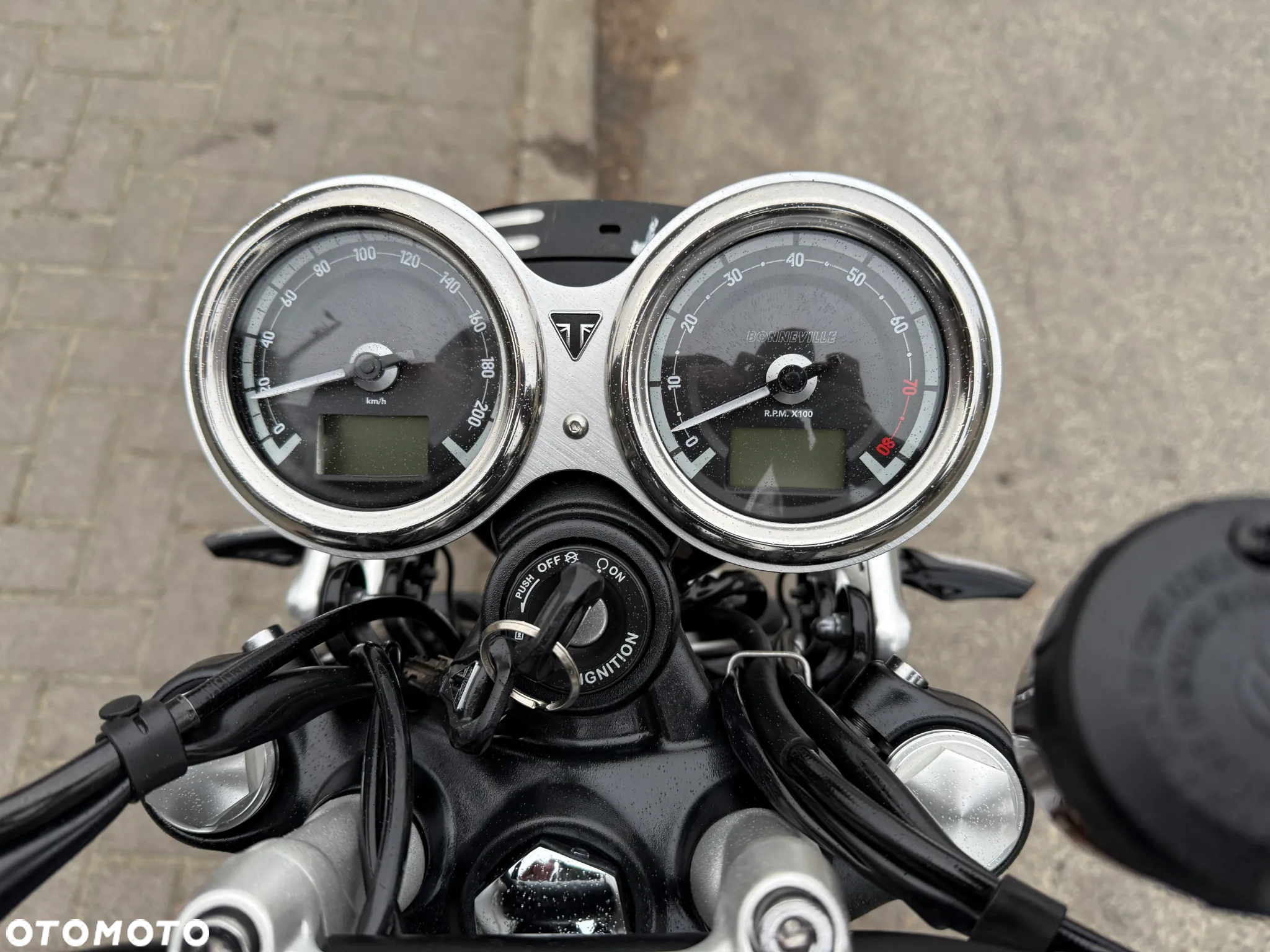 Triumph Speed Twin - 11