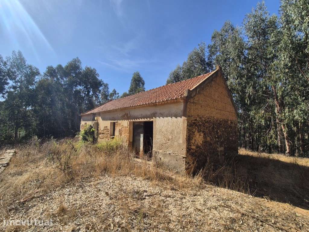 Quinta com cerca de 14 hectares e ruína - Grande imagem: 2/21