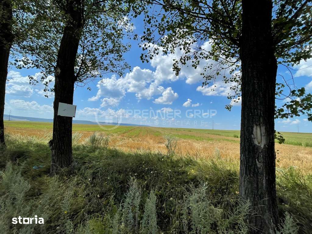 Teren extravilan 7.000mp, Miroslava - Liliac, 10€/mp - Imagine principală: 2/10