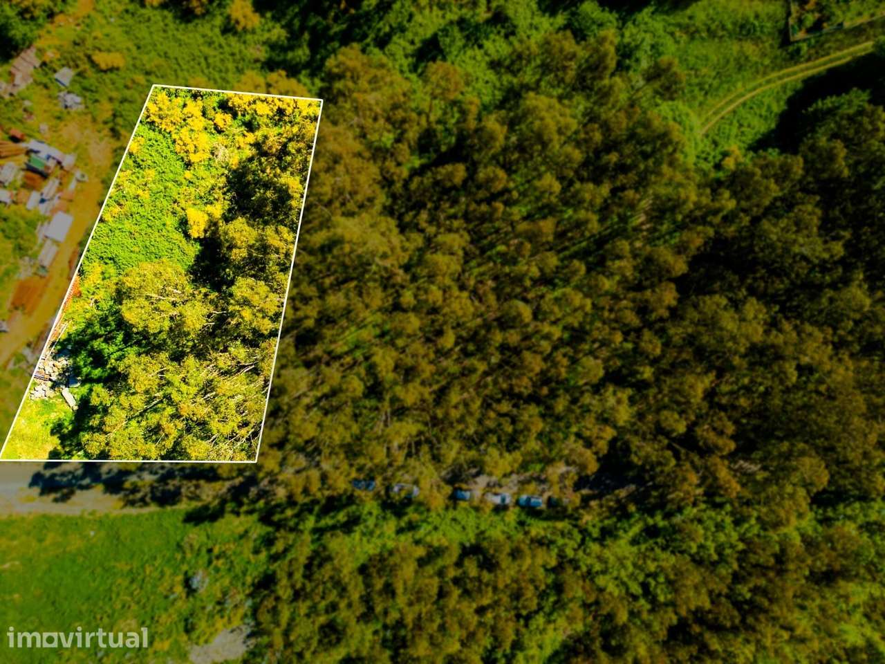 Terreno com 1660m2 e Duas frentes de estrada - Camacha - Grande imagem: 2/11