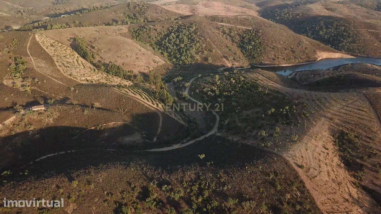 Terreno Agrícola com 8 Hectares — Produção, Água e Natureza em Santana - Grande imagem: 3/15