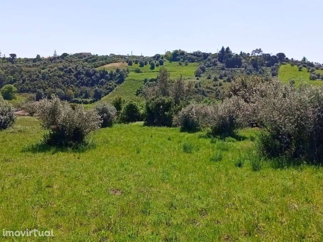 Moradia para reconstruir - Grande imagem: 2/18