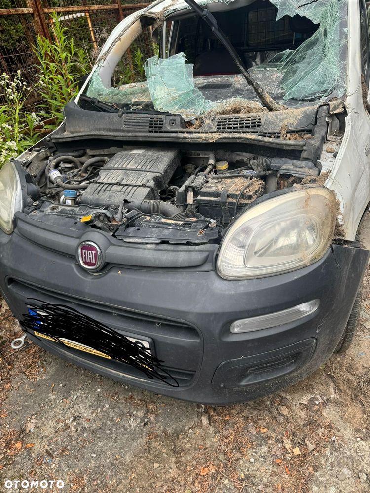 Fiat Panda - 1