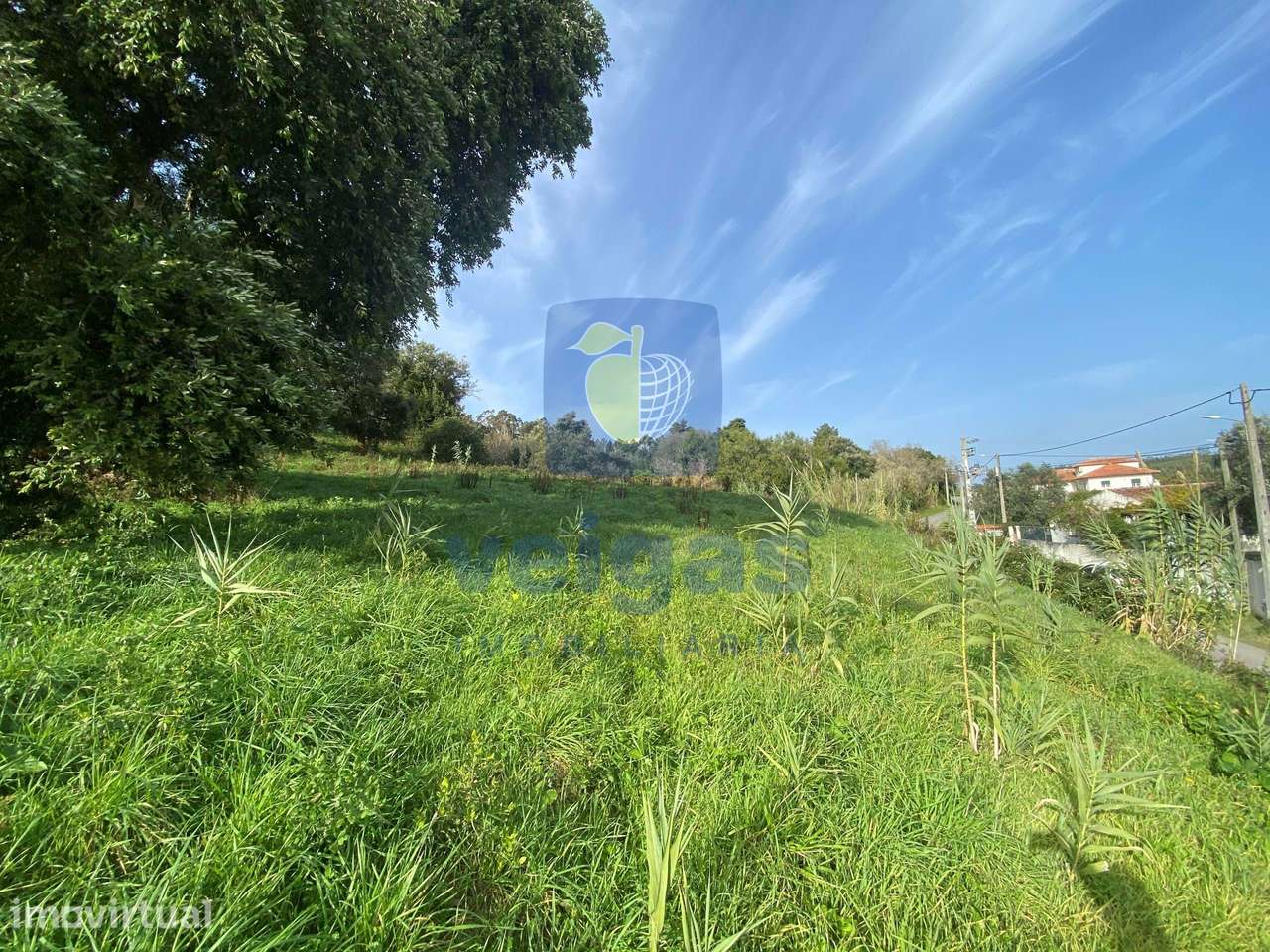 Terreno Urbano para Construção em Salir de Matos – O Local Ideal para - Grande imagem: 4/15
