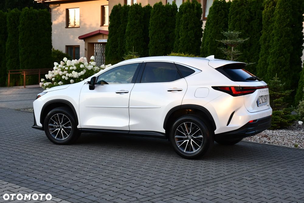 Lexus NX - 12