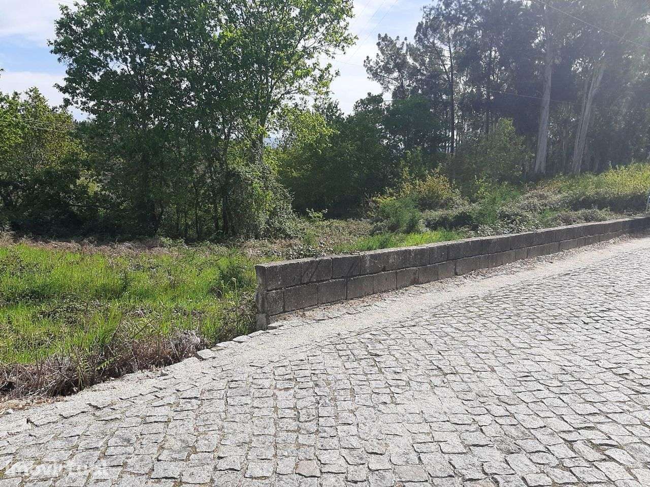 Arrenda Terreno Apróx. 3.000m2 Termas São Vicente Penafiel - Grande imagem: 2/8