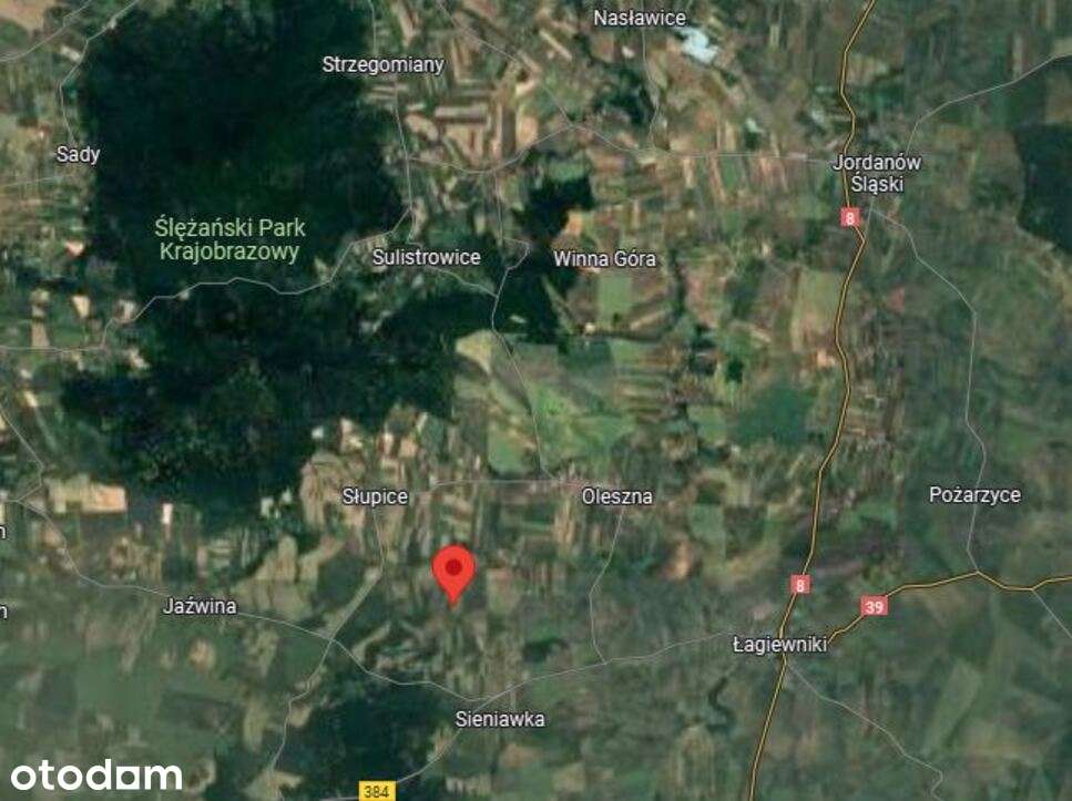 Działki rolne 3,78ha IIIa, blisko Sobótka, Słupice - Pełny obrazek: 3/3