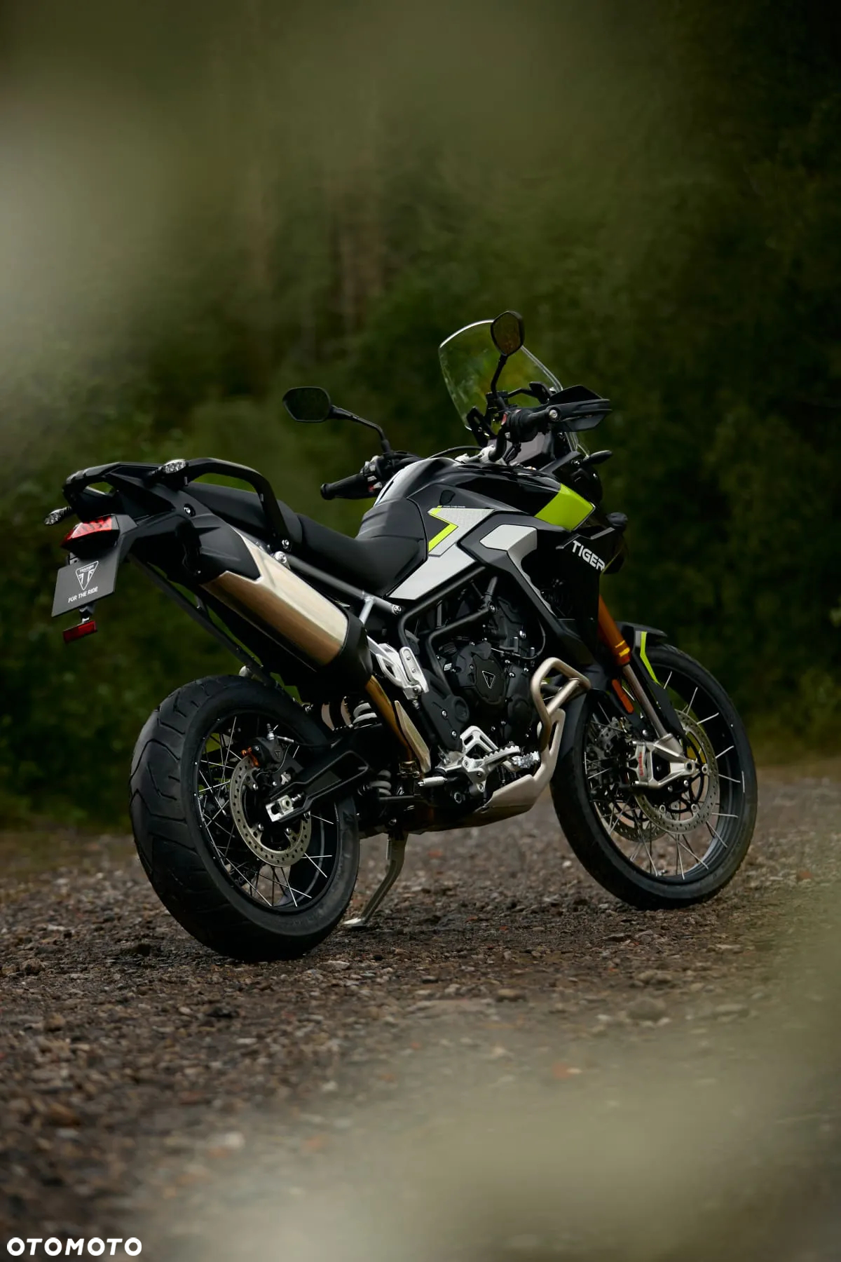 Triumph Tiger