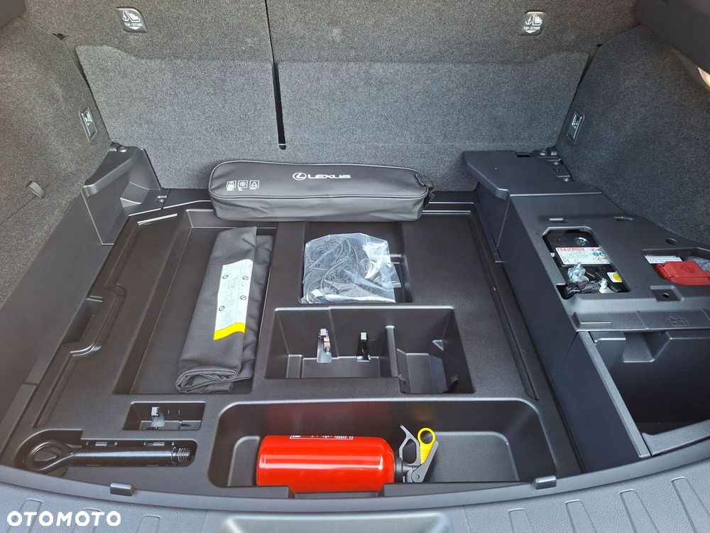 Lexus UX 300h F Sport AWD - 24
