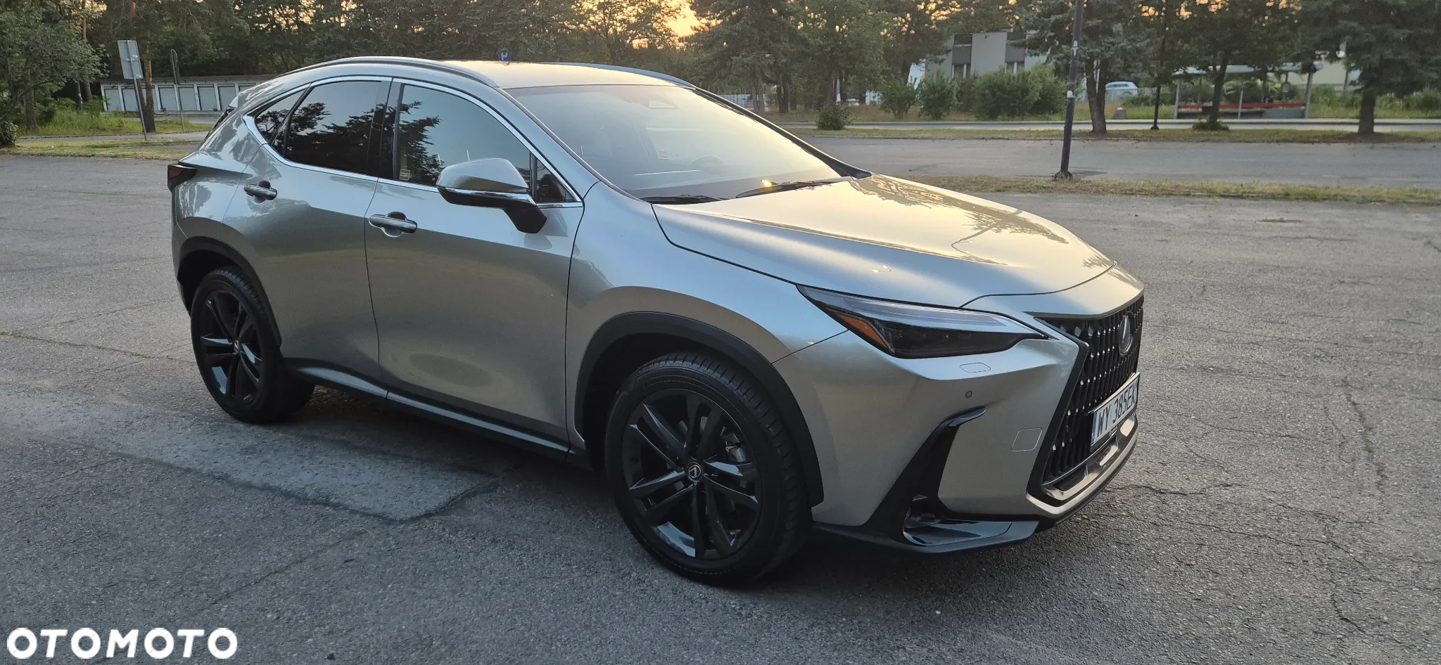 Lexus NX 350h Prestige AWD - 7