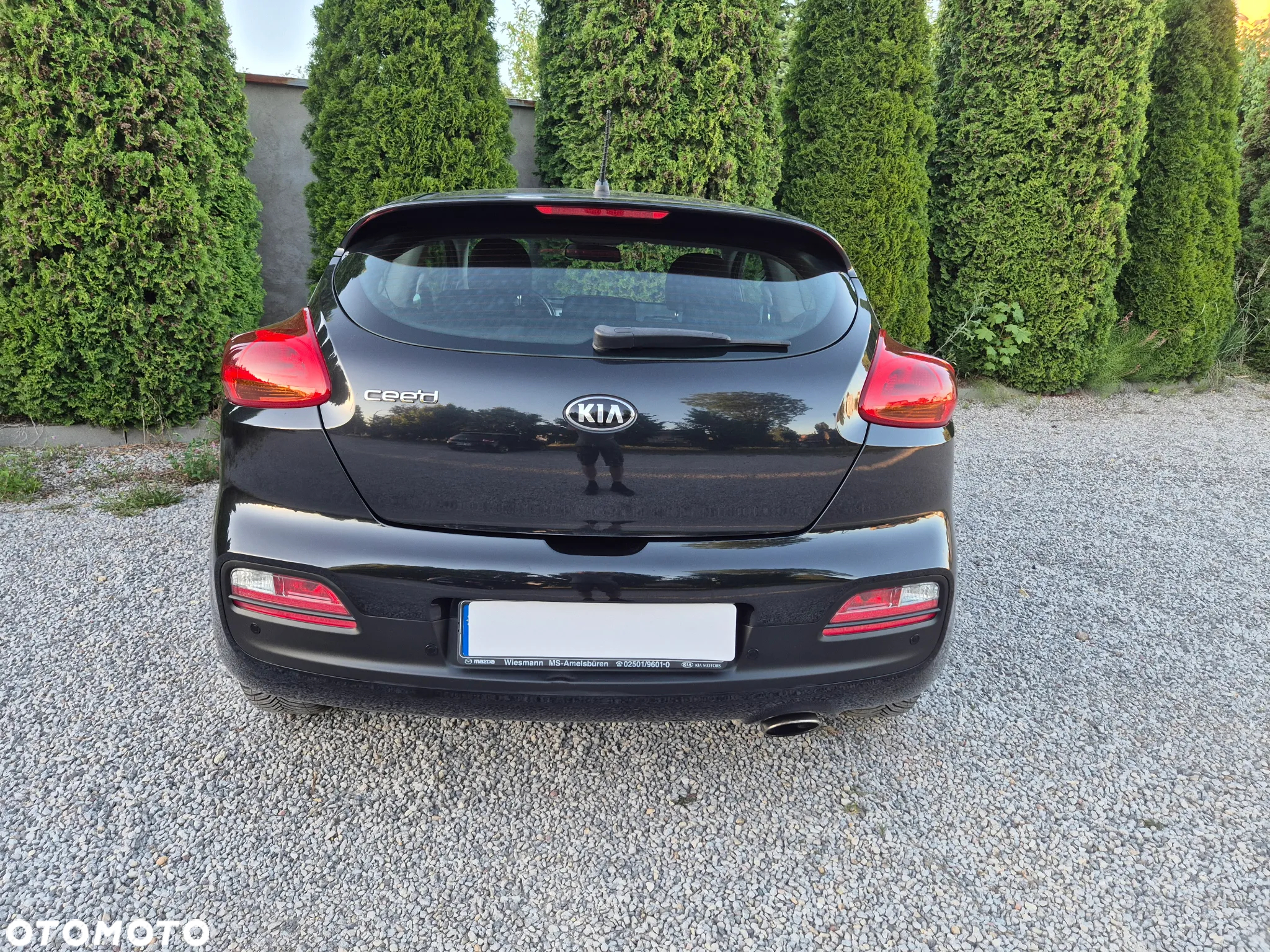 Kia ProCeed pro Ceed 1.6 GDI Edition 7 - 15