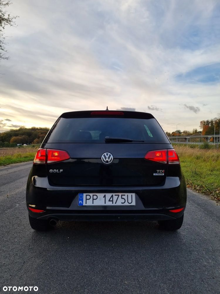 Volkswagen Golf 1.6 TDI BlueMotion Technology Allstar - 19