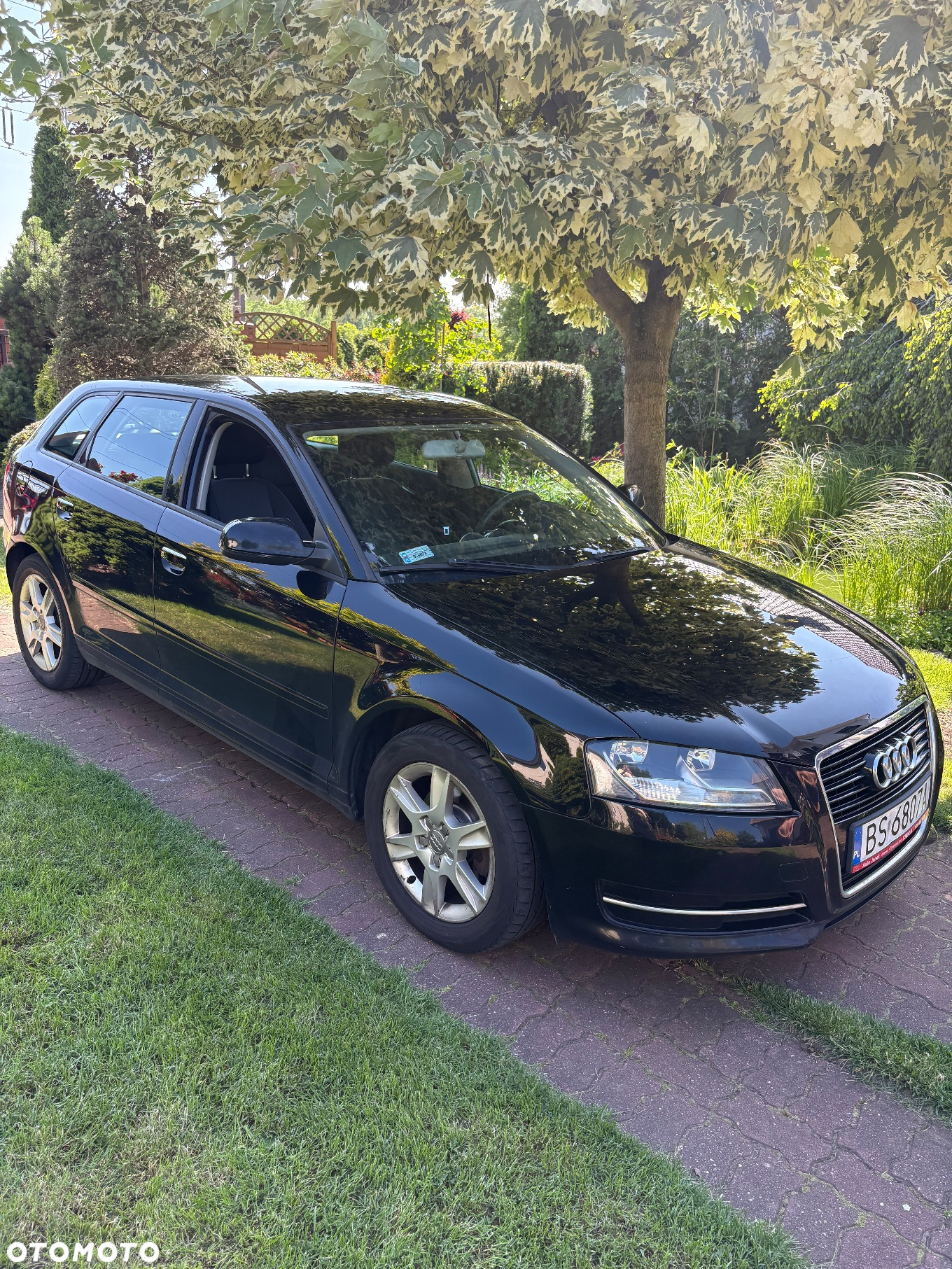 Audi A3 1.6 Ambition - 4