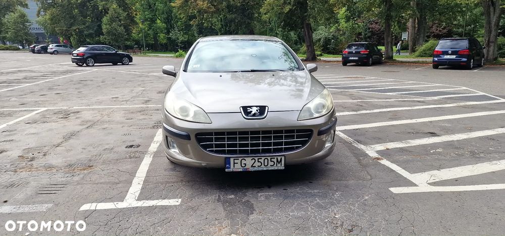 Peugeot 407 - 7