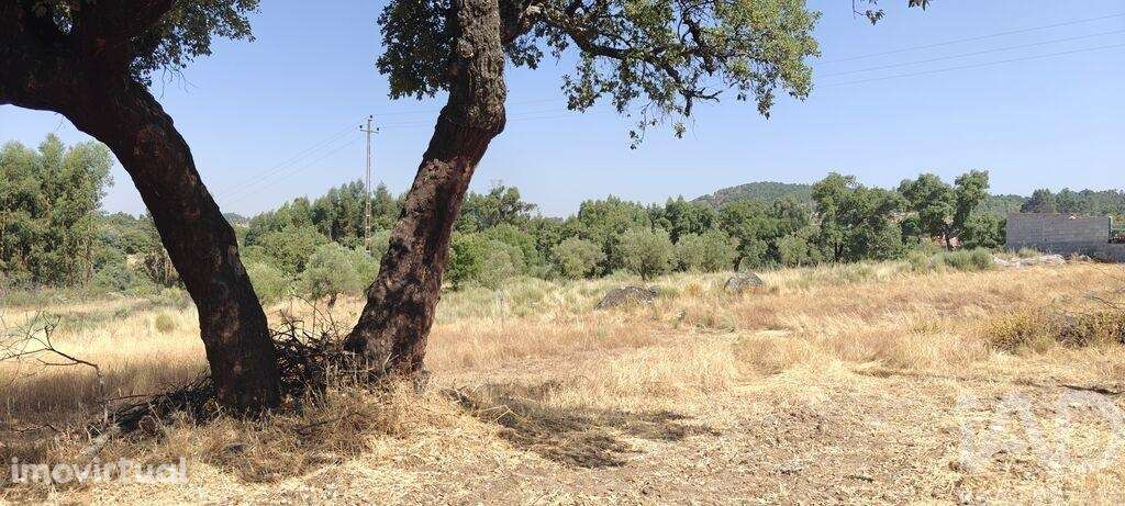 Terreno em Aranhas - Grande imagem: 2/2