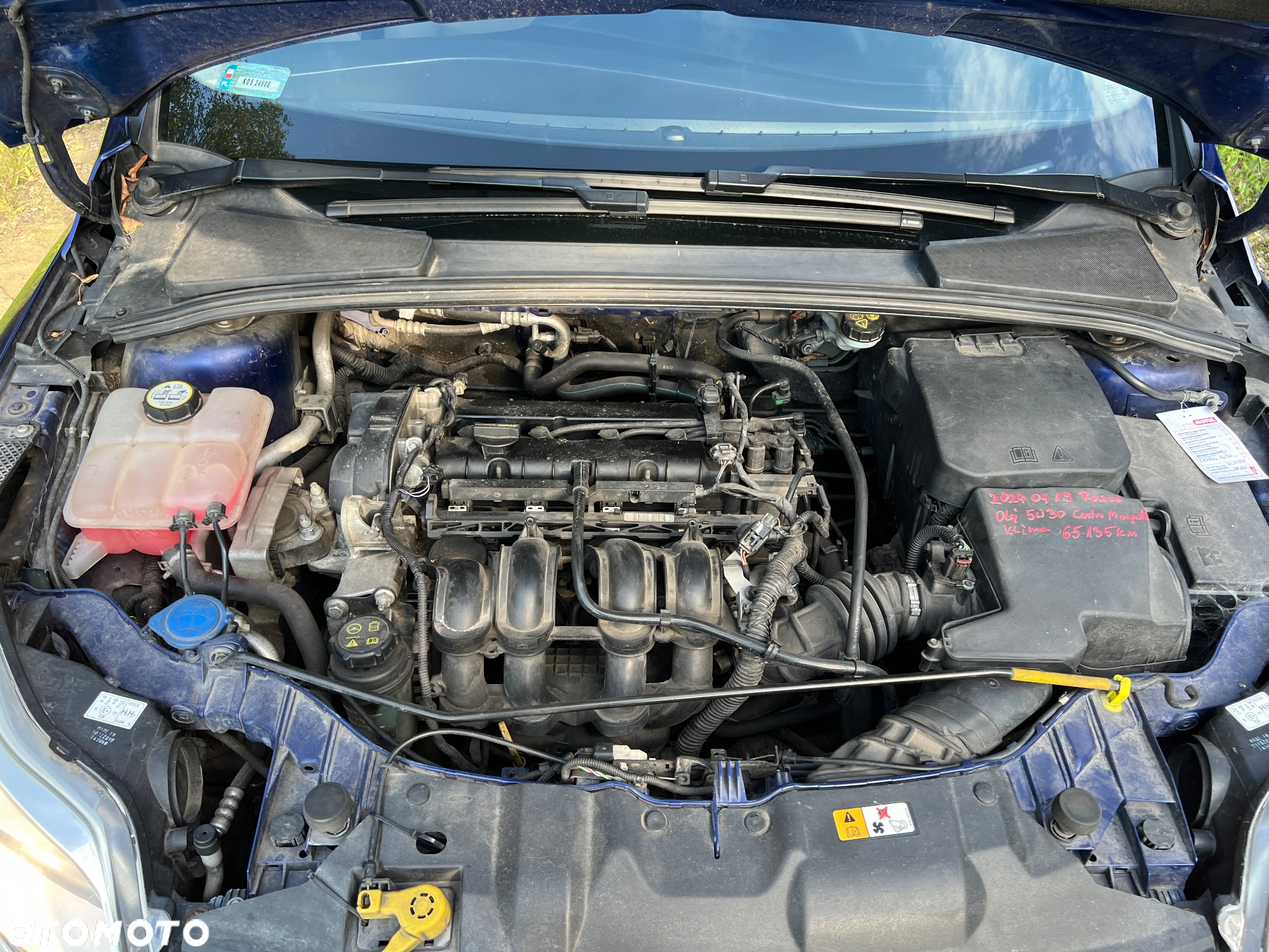 Ford Focus 1.6 Trend - 23