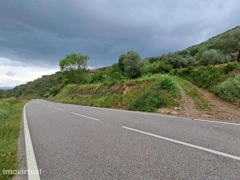 Venda de terreno com 2 600 m2 em Babe - Bragança - Grande imagem: 3/10