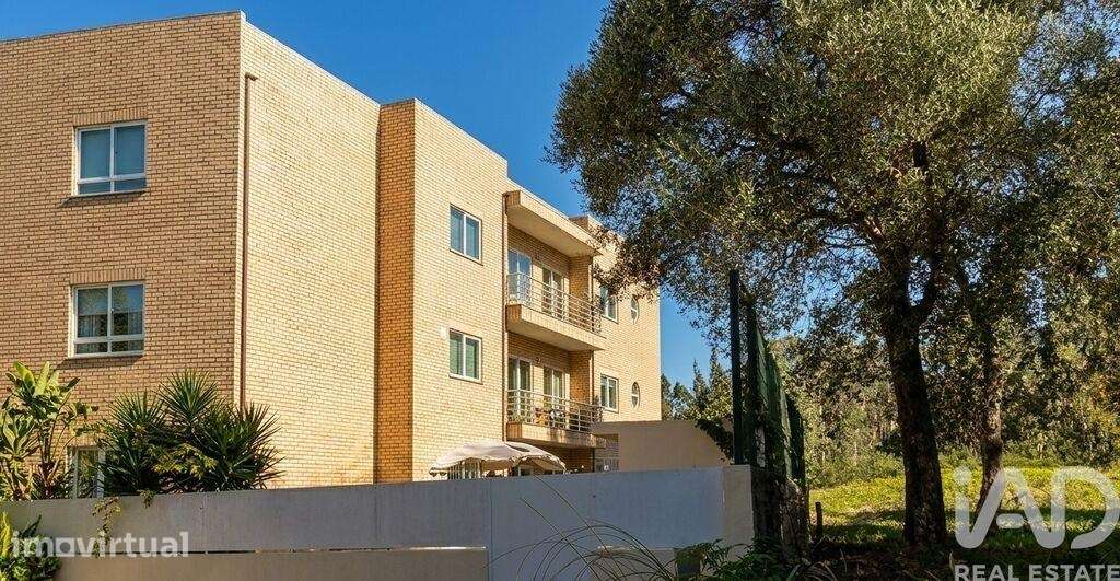 Apartamento T1 em Gulpilhares e Valadares de 82 m2 - Grande imagem: 2/15
