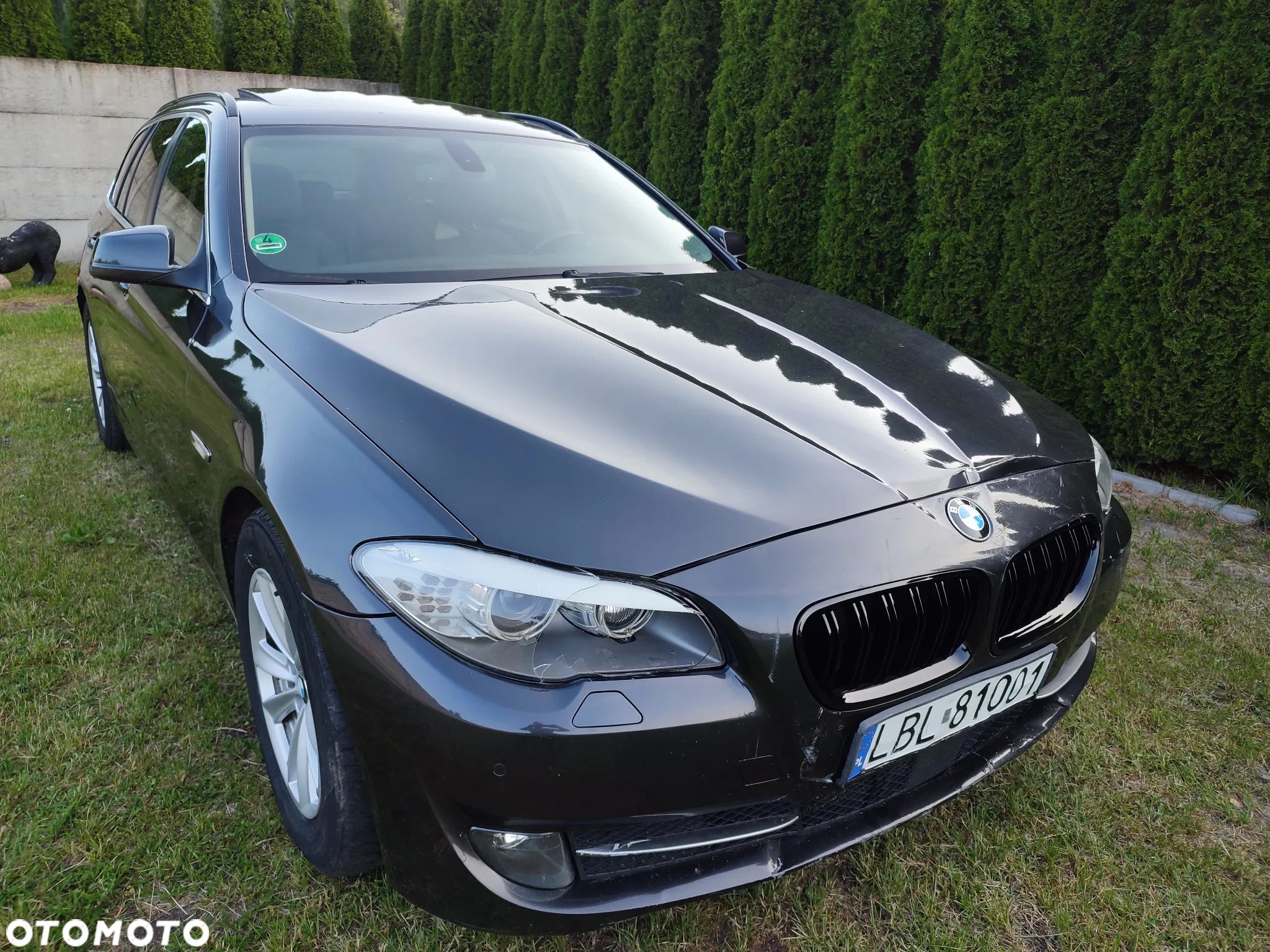BMW Seria 5 - 1