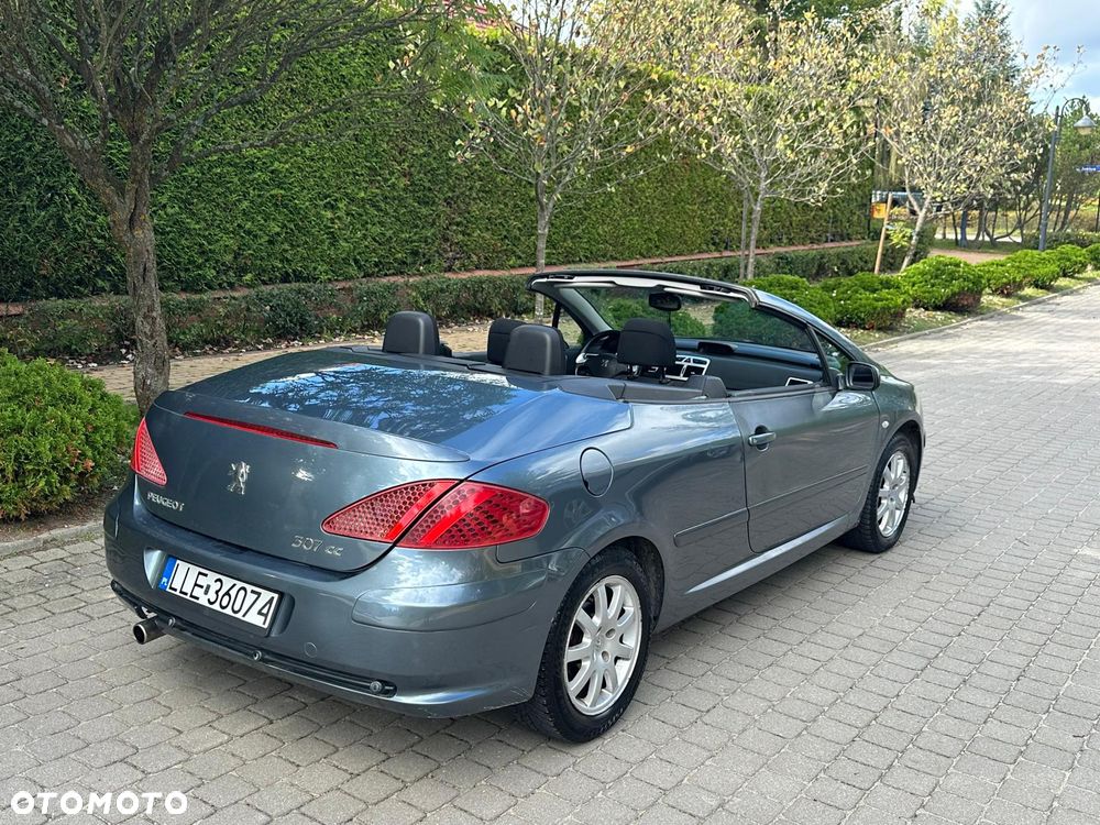 Peugeot 307 CC 135 - 14