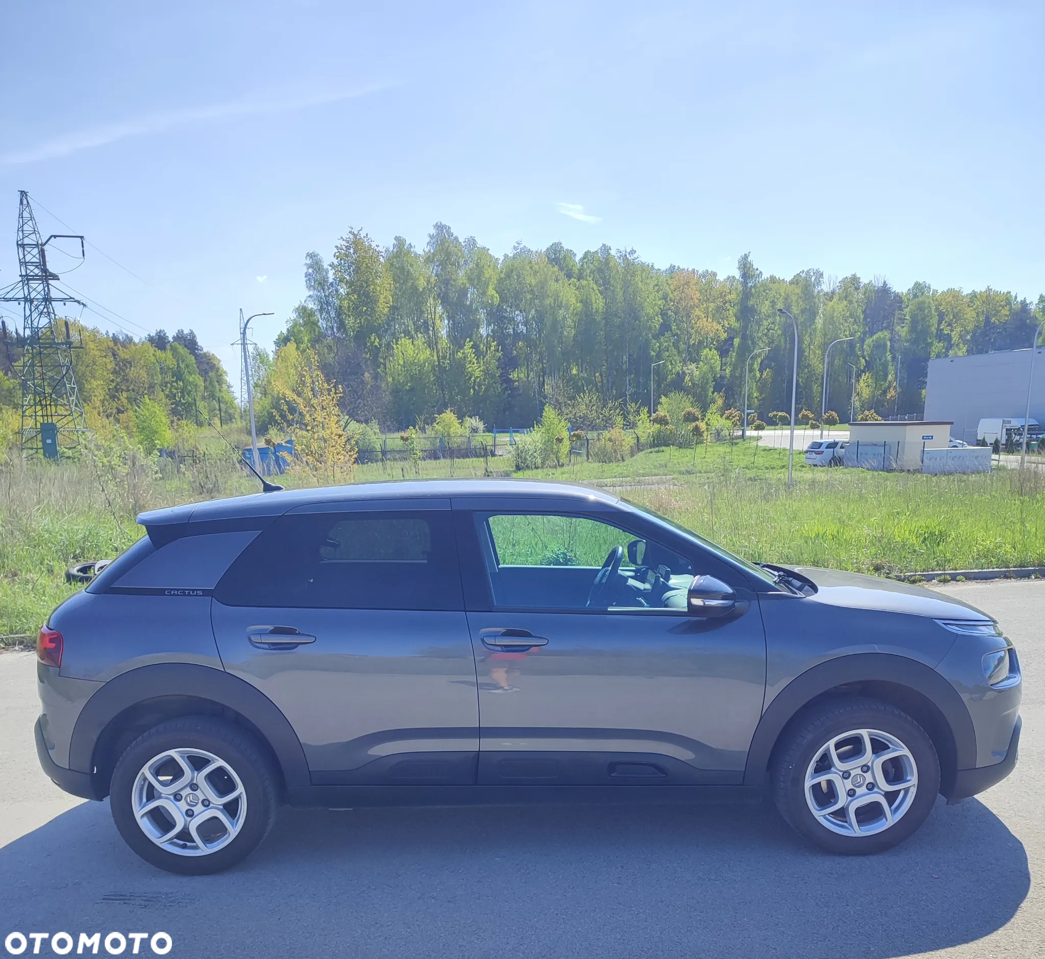Citroën C4 Cactus 1.2 PureTech Shine S&S - 4