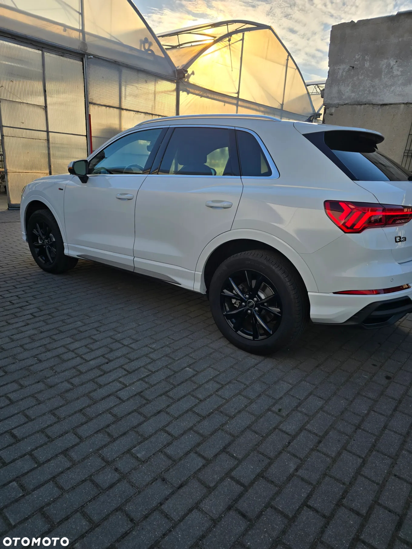 Audi Q3 - 18