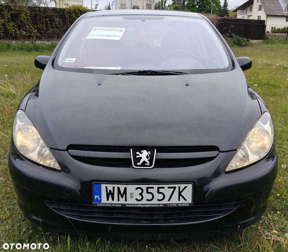 Peugeot 307 1.6 XS - 8