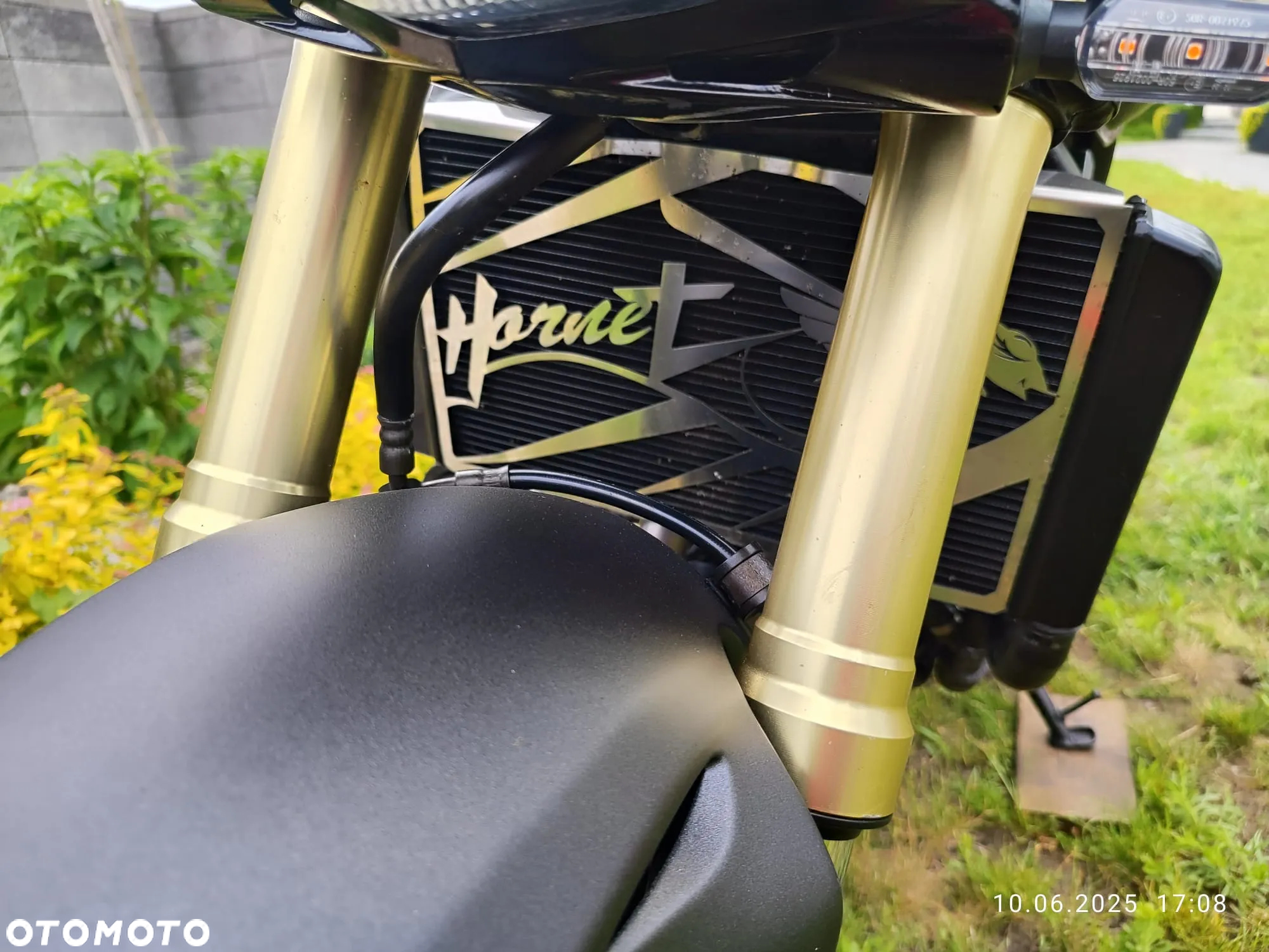 Honda Hornet - 10
