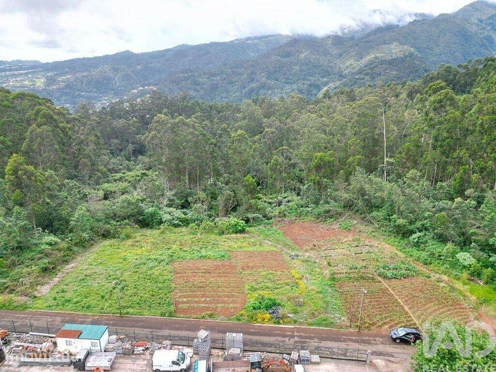 Terreno para construção T2 em São Jorge de 3630,00 m2 - Grande imagem: 2/30