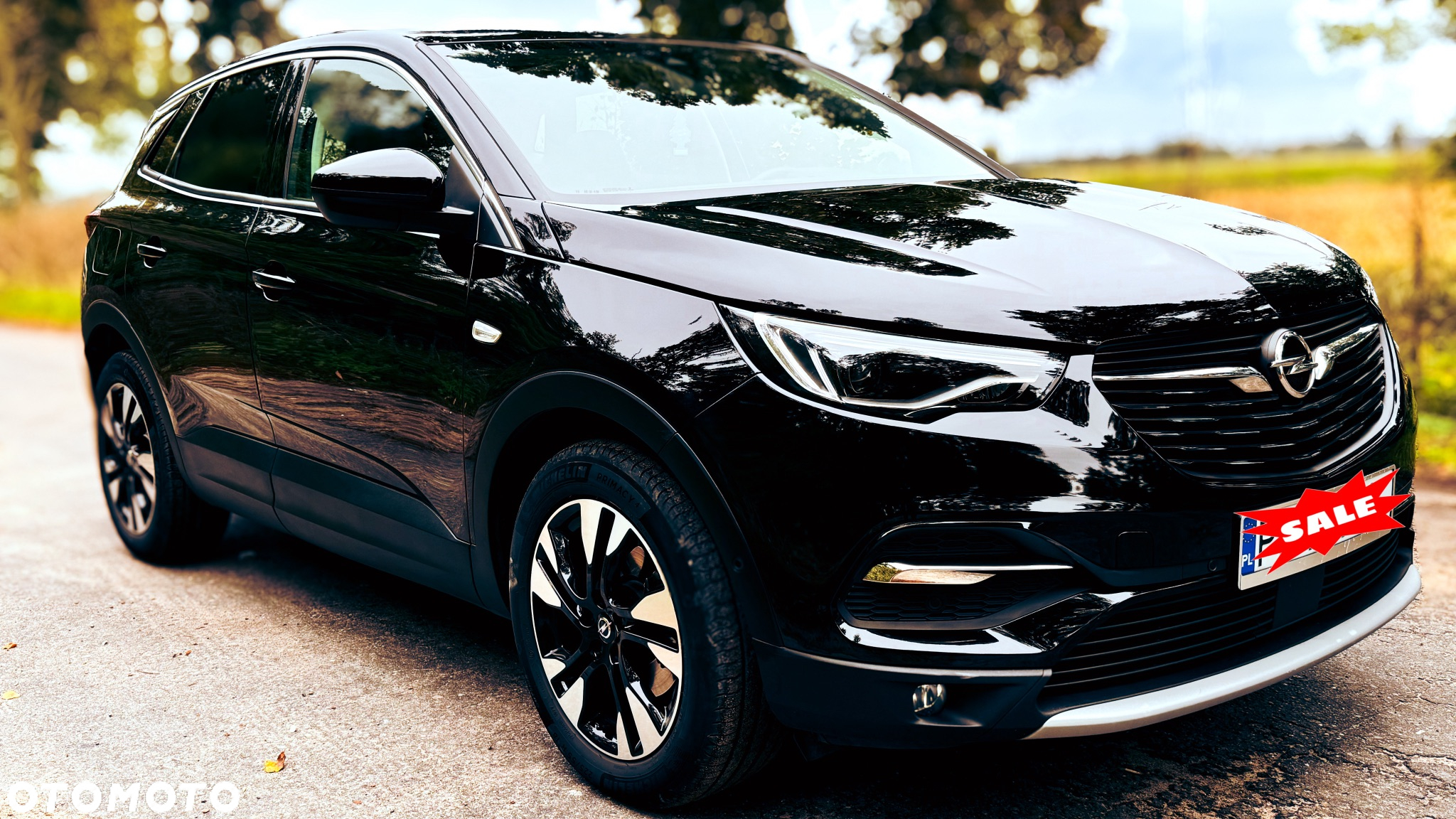 Opel Grandland X 1.2 Start/Stop Automatik Business Edition - 2