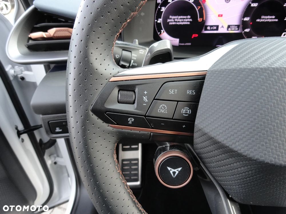 Cupra Terramar 2.0 TSI 4Drive DSG VZ - 21