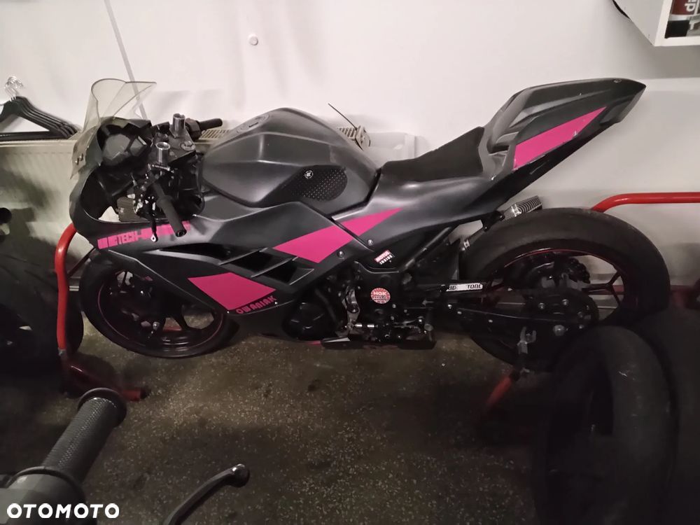 Kawasaki Ninja 300 ABS - 2