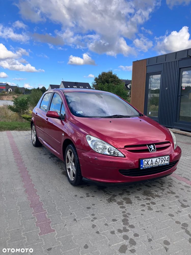 Peugeot 307 - 19