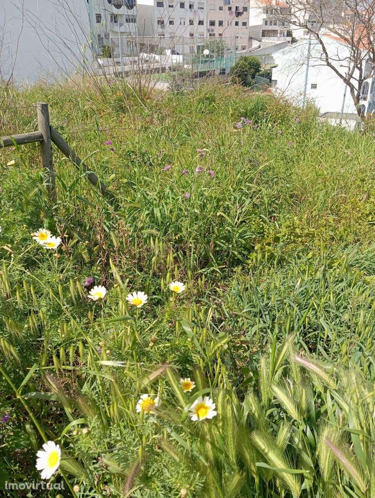 Lote de Terreno para Construção - Grande imagem: 4/8