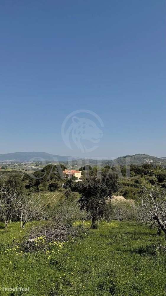 Terreno agrícola no Casal das Marinelas - Grande imagem: 4/4