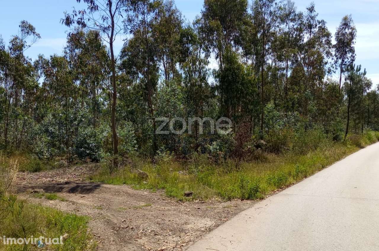 Terreno florestal 20000 m2 em Vilarinho das Cambas - Grande imagem: 4/27