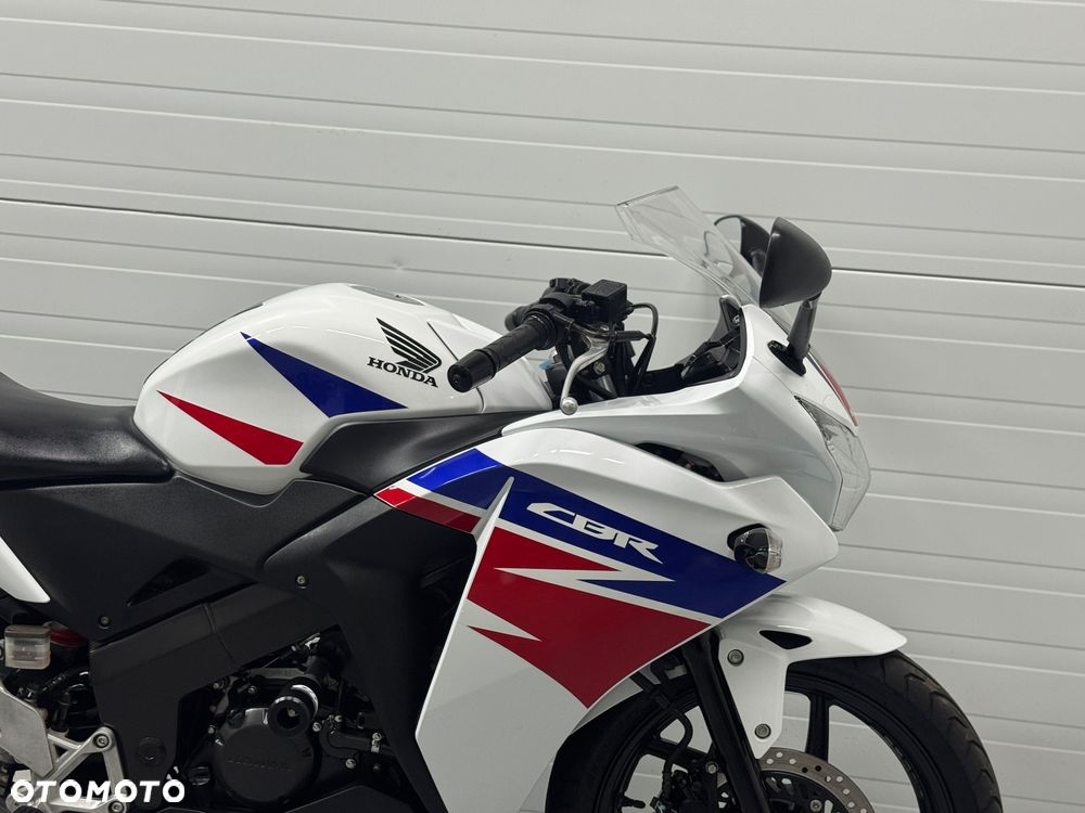 Honda CBR - 6