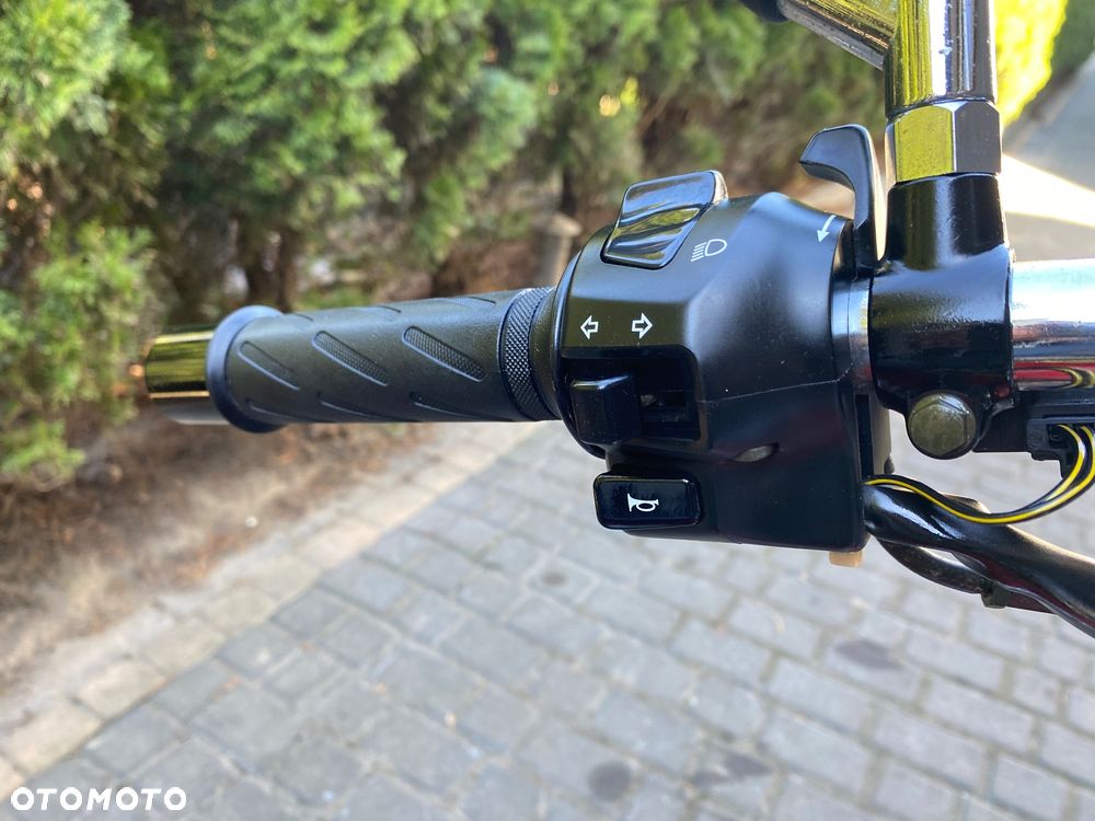 Suzuki Intruder - 20