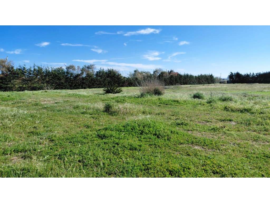 Terreno Rústico em Milfontes - Grande imagem: 3/16