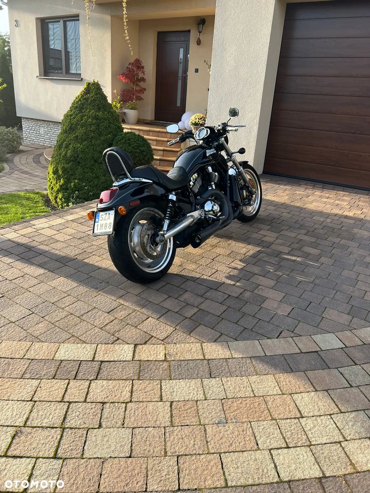 Harley-Davidson V-Rod Street Rod - 5