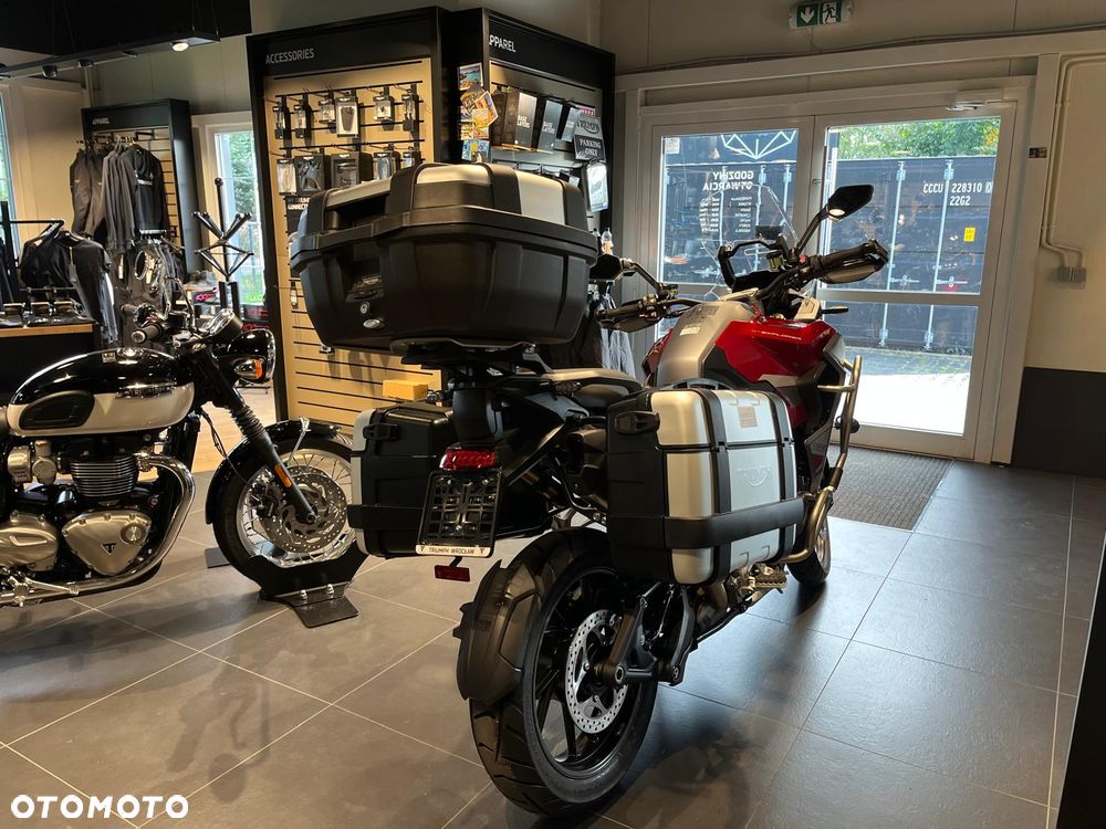 Triumph Tiger - 16