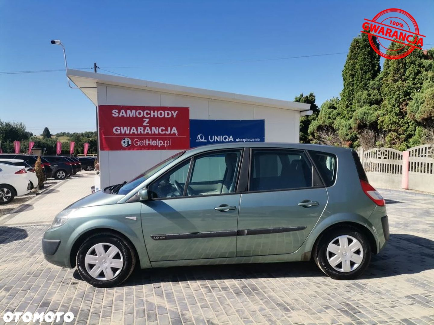 Renault Scenic - 3