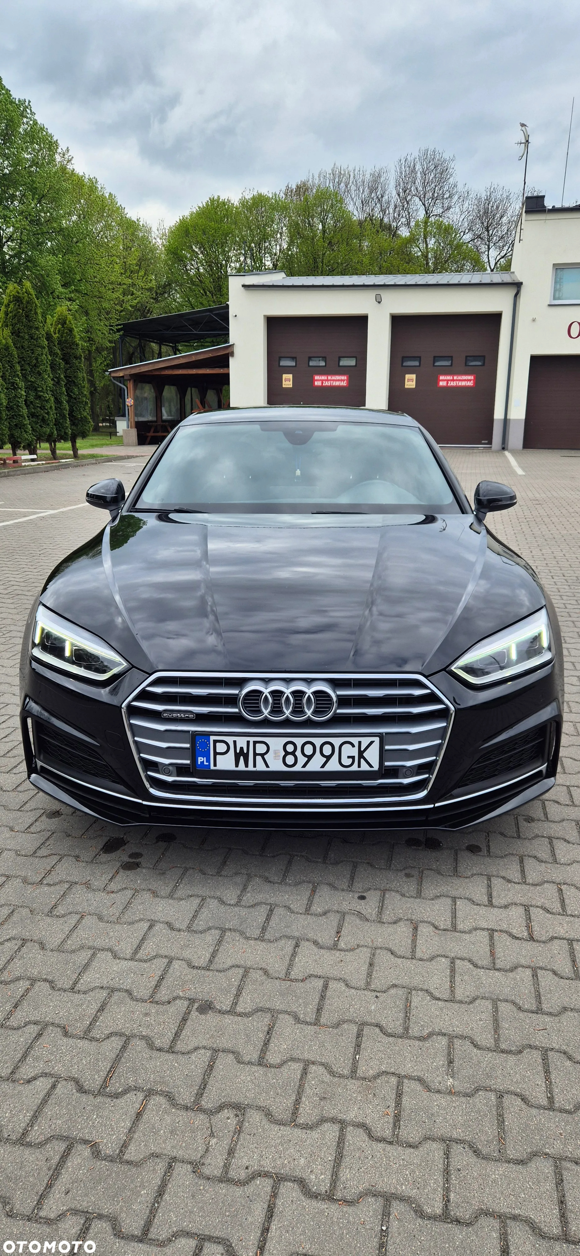 Audi A5 Sportback 3.0 TDI quattro tiptronic - 16